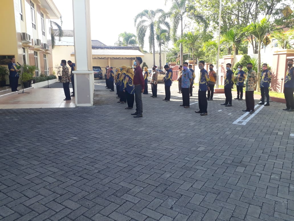 WhatsApp Image 2020 06 03 at 15.17.09