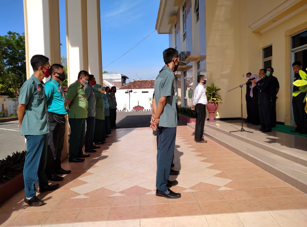 WhatsApp Image 2020 11 09 at 07.45.38