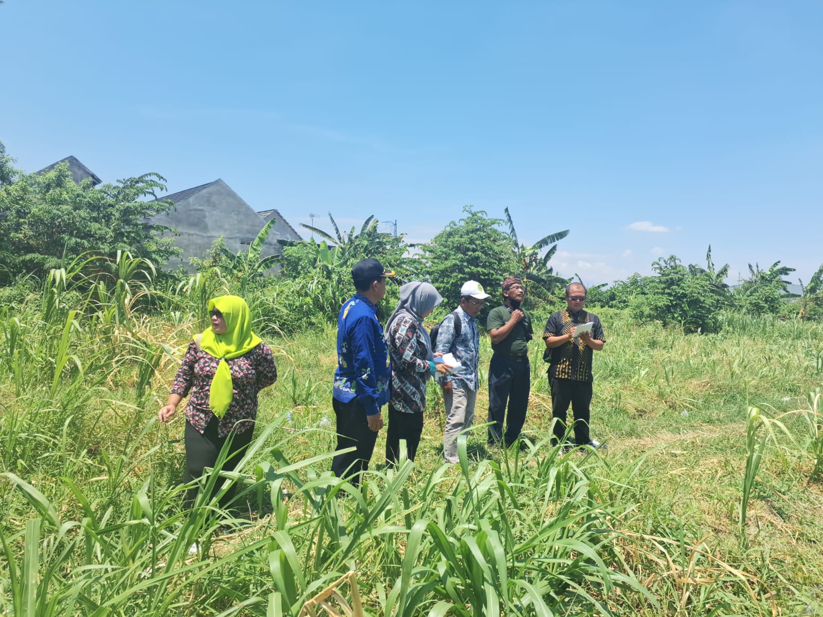 WhatsApp Image 2024 10 11 at 11.11.37