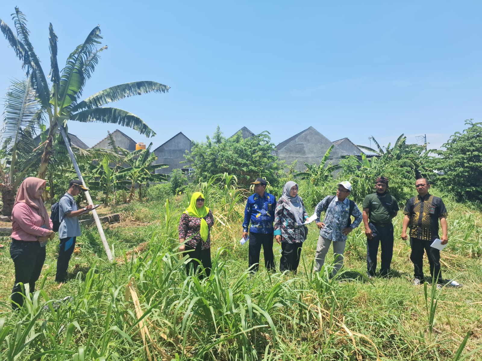 WhatsApp Image 2024 10 11 at 11.11.42